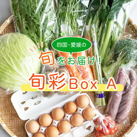 【ふるさと納税】旬菜 Box A
