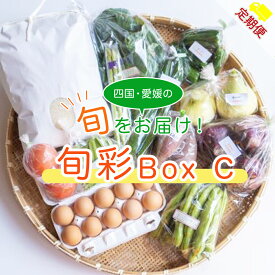 【ふるさと納税】【定期便/3ヶ月お届け】 たべとうみんの旬菜ボックス （お米付）