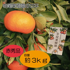 【ふるさと納税】甘平 赤秀品 3kg (土居町天満産)
