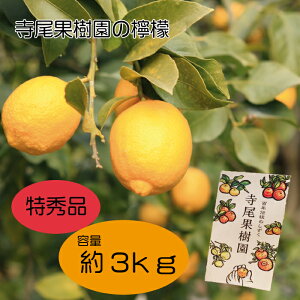 【ふるさと納税】檸檬 特秀品 3kg(土居町天満産)