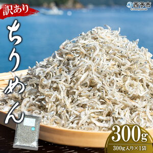yӂ邳Ɣ[Łz󂠂 ߂ 300g 1܁ 炷 VX Ⴑ    CN CY YHi ɂ  ܂  ƒp ̂ Yi ԌE_ Q 