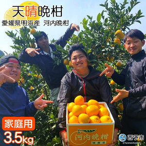 yӂ邳Ɣ[Łzs\tVӊi͓ӊj3.5kg QlY  ƒp ʕ k ݂ a O[vt[c Hׂĉ Yi ЏΊ Q \sy퉷zw2026