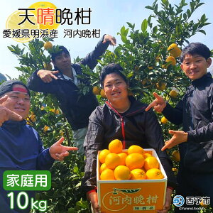 �y�ӂ邳�Ɣ[�Łz��s�\���t���V���ӊ��i�͓��ӊ��j��10kg ���Q�����l�Y�� �ƒ�p �ʕ� ���k �݂��� �a�� �O���[�v�t���[�c ������ЏΊ� �H�ׂĉ��� ���Y�i ���Q�� ���\�s�y�퉷�z�w2026