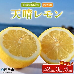 yӂ邳Ɣ[ŁzV p 2kg/3kg/5kg t[c ʕ    EG k v[g 蕨 Ԃ  Mtg AW  Y Y QY Yi