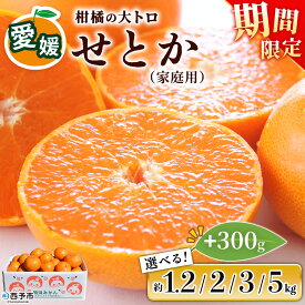 【ふるさと納税】【高評価★5】先行予約＜せとか（家庭用）約1.2kg／2kg／3kg／5kg 全て＋300g＞ 選べる 内容量 自宅用 訳あり ワケアリ 果物 くだもの フルーツ ミカン みかん セトカ 蜜柑 柑橘 特産品 笑丸 愛媛県 西予市 常温『2027年3月上旬～4月上旬に順次出荷予定』