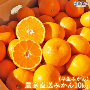 みかん10kgの通販 価格比較 価格 Com