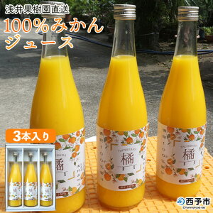 yӂ邳Ɣ[Łzʎ 100݂W[X 720ml×3{聄 ʕ k  Xg[gW[X IW t[c \tghN ŉ Yi Fa Q \s y