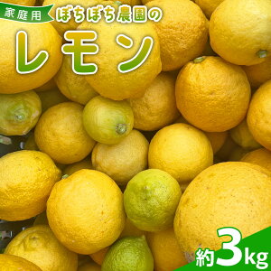 yӂ邳Ɣ[Łzڂڂ_̃ ƒp 3kg 3L   EG 󂠂 킯 PA p ƒp ʕ k t[c AW  Y Y Q