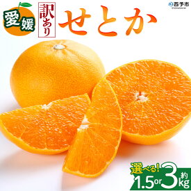 【ふるさと納税】＜【訳あり】愛媛県産 せとか 約1.5kg／3kg＞『2027年2月中旬～5月下旬迄に順次発送予定』 選べる 容量 内容量 わけあり みかん 蜜柑 果物 くだもの フルーツ ミカン 高級柑橘 とろける 食感 果汁 国産 株式会社三代目みかん職人 愛媛県 西予市【冷蔵】