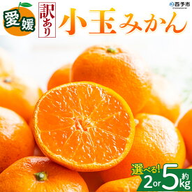 【ふるさと納税】＜【訳あり】愛媛県産 小玉みかん 約2kg／5kg＞『2026年11月上旬～1月下旬迄順次発送予定』 選べる 容量 内容量 わけあり 小さい こだま みかん 蜜柑 訳あり 果物 くだもの フルーツ ミカン 果汁 国産 特産品 株式会社三代目みかん職人 愛媛 西予市【常温】