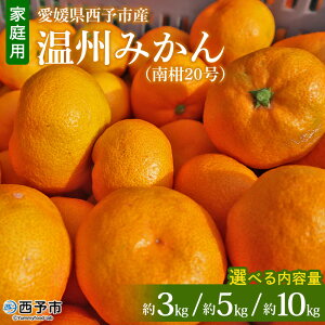 yӂ邳Ɣ[Łzs\ Q\sY B݂i승20jƒp 3kg^5kg^10kgiTCYsEj 󂠂 ʕ  ~J k t[c Hׂĉ Yi i