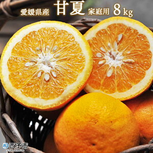 yӂ邳Ɣ[ŁzQ\sY É 8kg ƒp ʕ  ~J k t[c ܂Ȃ 󂠂 PA p Yn Yi i݂ Q \sy퉷zw2026N3