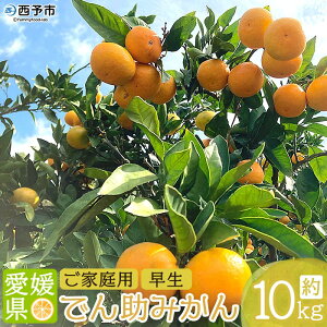 yӂ邳Ɣ[Łzł񏕔_̉B݂i ƒpj10kg ʕ t[c ~J IW k 񂵂イ݂ p  Y Yi Hׂĉ Yn FaY Q