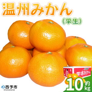 yӂ邳Ɣ[ŁzB݂ij10kg ʕ t[c ݂ ~J  IW k 񂵂イ݂ EVE~J 킹 Z Hׂĉ Yi JA Ђߓ_Ƌg 