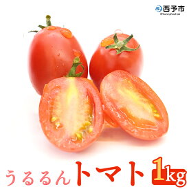 【ふるさと納税】＜「うるるんトマト」約1kg（250g×4パック×1箱） 甘くて濃厚な味わい＞ 野菜 とまと ミニトマト 特産品 食べて応援 くまさん農園 愛媛県 西予市【常温】『1か月以内に順次出荷予定』