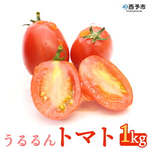yӂ邳Ɣ[Łzug}gv1kgi250g×4pbN×1j ÂĔZȖ킢  Ƃ܂ ~jg}g Yi Hׂĉ ܂_ Q \sy퉷zw1ȓɏ