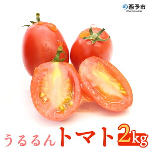 yӂ邳Ɣ[Łzug}gv2kgi250g×4pbN×2j ÂĔZȖ킢  Ƃ܂ ~jg}g Yi Hׂĉ ܂_ Q \sy퉷zw1ȓɏ
