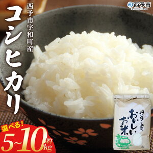 yӂ邳Ɣ[ŁzVāߘa7NY RVqJ 5kg/10kg Iׂ 5L 10L Ђ   R     CX   ٓ ɂ Yi FaY t@[N