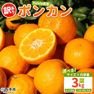 yӂ邳Ɣ[Łzfululy |J 󂠂 3kg Iׂ PA TCY    ʕ t[c  ۂ񂩂 k ƒp fululy  Q \sy퉷zw2026