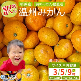 【ふるさと納税】＜訳あり 温州みかん 約3kg / 5kg / 9kg＞ 選べる 小玉 中玉 大玉 明浜産 果物 フルーツ 蜜柑 うんしゅうみかん ウンシュウミカン 柑橘 家庭用 浜のみかん屋 直送 愛媛県 西予市【常温】『2025年11月上旬～12月中旬迄に順次出荷』