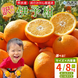 yӂ邳Ɣ[Łz󂠂 ɗ\ 4kg / 8kg l݂̂  Iׂ TCY    M`4L PA CJ 悩 ƒp ʕ t[c  Â k lY p 