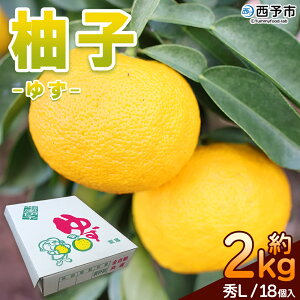 yӂ邳Ɣ[ŁzMq G LTCY 18 2kg 2000g 䂸 Y ʕ t[c ͔|  JAЂ Fa_Ƌg Q \sy퉷zw2025N10{`11{ɏ