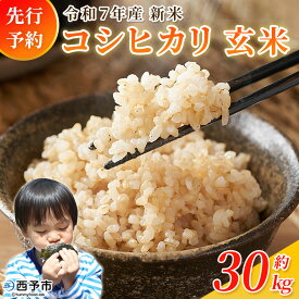 【ふるさと納税】新米＜令和7年産 コシヒカリ 玄米 30kg＞ 国産 R7 米 宇和米 げんまい お米 銘柄米 30キロ こしひかり 西予市産 宇和町産 産地直送 愛媛県産 ご飯 JAひがしうわ 東宇和農業協同組合 愛媛県 西予市【常温】『1か月以内に順次出荷予定』