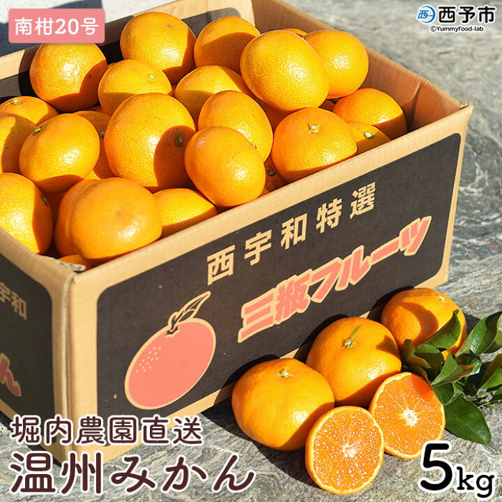 楽天市場 ふるさと納税 先行予約 温州 みかん 南柑号 5kg 堀内農園直送 果物 柑橘 フルーツ 特産品 愛媛県 西予市 常温 22年12月上旬から12月下旬迄に順次出荷予定 愛媛県西予市 楽天市場 ふるさと納税 先行予約 温州 みかん 南柑号 5kg 堀内農園直送 果物 柑橘 フルーツ 特産品 愛媛県 西予市 常温 22年12月上旬から12月下旬迄に順次出荷予定 愛媛県西予市