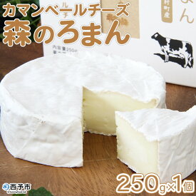 【ふるさと納税】＜カマンベールチーズ「森のろまん」250g×1個＞ ちーず 発酵食品 乳製品 加工品 生乳 伯方の塩 おつまみ ワイン 特産品 箱入り ギフト 国産 お取り寄せ お祝い お歳暮 御歳暮 熨斗 ほわいとファーム 愛媛県 西予市【冷蔵】『1か月以内に順次出荷予定』