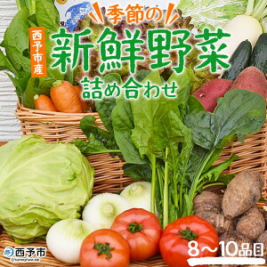 yӂ邳Ɣ[ŁzG߂̐VN؂̋lߍ킹 \sY QY Y { G߂̖ ₳ Zbg 8`10i y Yi SSi Q \s y①zw1ȓ