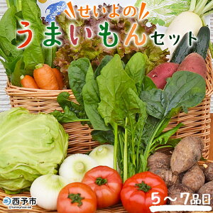 yӂ邳Ɣ[Łẑ܂Zbg \sY QY Y { G߂̖ ₳ lߍ킹 5`7i y Yi SSi Q \s y①zw1ȓ