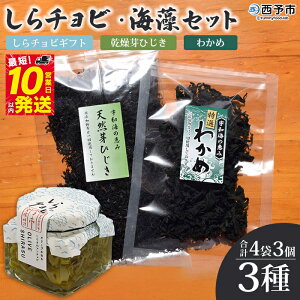 yӂ邳Ɣ[Łz`r CZbg 炷 VX  Ђ 킩 ICЂ A`r 炿 т̂ pX^ ܂ Hi  Mtg yY 蕨 Yi 