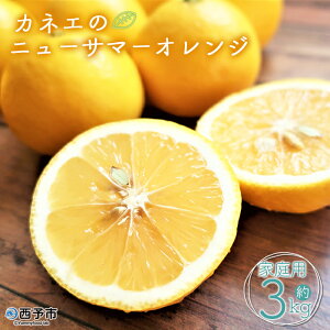 �y�ӂ邳�Ɣ[�Łz��s�\�񁃃J�l�G�̐��F�a�Y �z�~���n�j���[�T�}�[�I�����W �ƒ�p 3kg�O�い �ƒ�p �_�ƒ��� �ʕ� �������� �t���[�c �~�J�� ������ ���� �H�ׂĉ��� ���Y�i ���̂����_