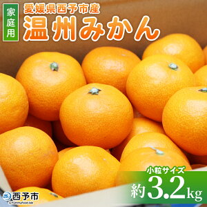 yӂ邳Ɣ[ŁzQ\sY B݂ TCY ƒp 3.2kg QY Fa   ʕ t[c k 񂵂イ݂ EVE~J IW ~J  