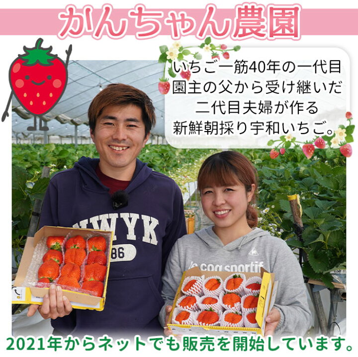 楽天市場 ふるさと納税 農家厳選 新鮮朝採り 宇和いちご 中粒 特大セット 各1箱 合計約1 25kg イチゴ 果物 フルーツ ストロベリー かおりの 恋みのり ゆめのか 食べ比べ かんちゃん農園 愛媛県 西予市 冷蔵 23年1月上旬から5月末迄に順次出荷予定 楽天市場 ふるさと納税 農家厳選 新鮮朝採り 宇和いちご 中粒 特大セット 各1箱 合計約1 25kg イチゴ 果物 フルーツ ストロベリー かおりの 恋みのり ゆめのか 食べ比べ かんちゃん農園 愛媛県 西予市 冷蔵 23年1月上旬から5月末迄に順次出荷予定