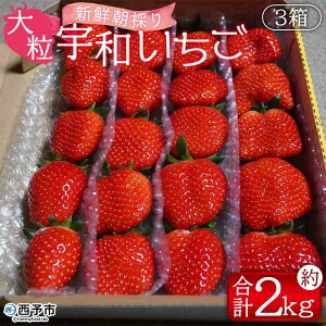 yӂ邳Ɣ[Łz_ƌI VN̂ Fa 嗱 3iv2kgj C`S  ʕ t[c Xgx[    񂿂_ Q \sy①zw2026N2