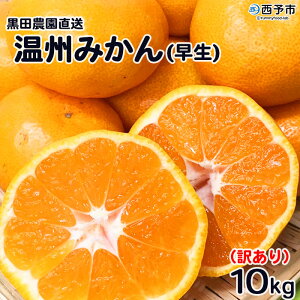 みかん10kgの通販 価格比較 価格 Com
