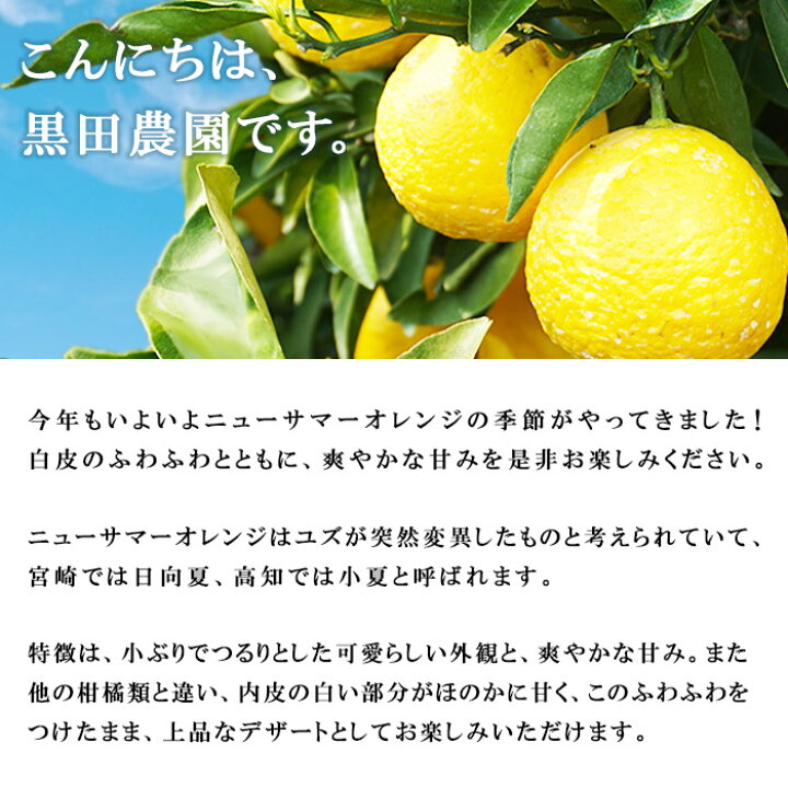 楽天市場】【ふるさと納税】ご家庭用<黒田農園 ニューサマーオレンジ 5kg>※2022年5月上旬から発送(予定) 果物 柑橘 みかん ミカン フルーツ 日向夏 小夏 特産品 愛媛県 西予市 【常温】 : 愛媛県西予市 楽天市場】【ふるさと納税】ご家庭用<黒田農園 ニューサマーオレンジ 5kg>※2022年5月上旬から発送(予定) 果物 柑橘 みかん ミカン フルーツ 日向夏 小夏 特産品 愛媛県 西予市 【常温】 : 愛媛県西予市