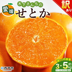 【ふるさと納税】＜木下さんちのせとか 訳あり 約3kg/5kg（S〜3L大中小混み）＞ 選べる 内容量 訳アリ 家庭用 自宅用 柑橘 ミカン みかん 蜜柑 果物 くだもの フルーツ 国産 特産品 木下農園 愛媛県 西予市【常温】『2027年2月下旬〜3月下旬に順次出荷』