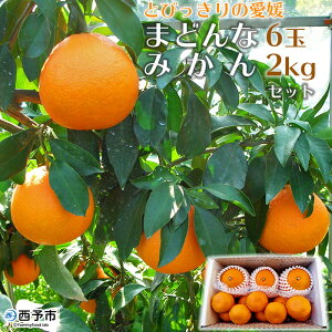 yӂ邳Ɣ[Łzs\ g܂ǂȂƓiIƂт̈Q ܂ǂ6ʁB݂2kgZbgʕ k t[c }hi Qʎ28 ~J  Ԍ Yi Yn