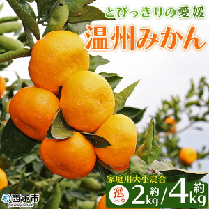 yӂ邳Ɣ[Łzs\ Ƃт̈Q B݂ 2kg^4kgiƒp召j 󂠂 ƒp ʕ k t[c  񂵂イ݂ EVE~J Yi ЎRʎ 