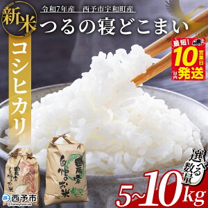 yӂ邳Ɣ[ŁzV ߘa7NY RVqJu̐Qǂ܂v5kg / 10kg \sFaY 2025NY Ђ  R     ͂  CX Xs[h 