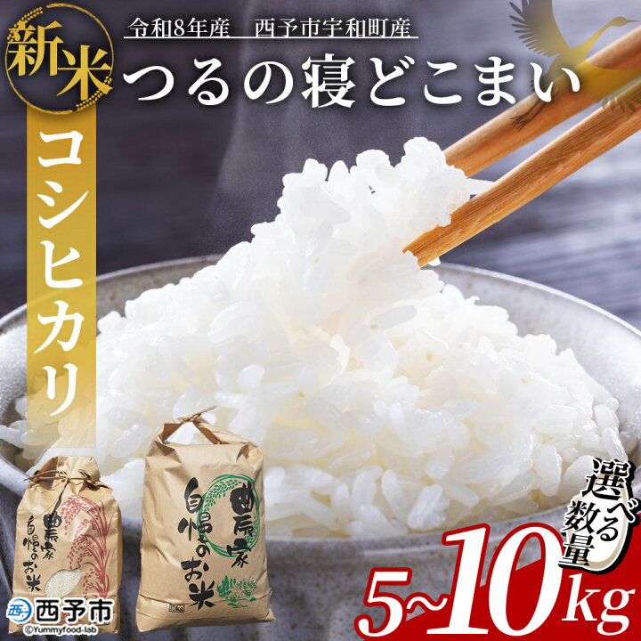 楽天市場】【ふるさと納税】【先行予約】新米 ＜令和8年産 コシヒカリ 