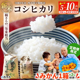 【ふるさと納税】【先行予約】＼みかんもついてくる！／新米 ＜令和8年産 コシヒカリ 約5kg／約10kg ＋（定期便のみ）温州みかん2kg 西予市宇和町産＞ 白米 精米 楠さんの一等米相当 選べる 配送回数 お米 ご飯 愛媛県 西予市【常温】『2026年9月上旬から順次出荷予定』