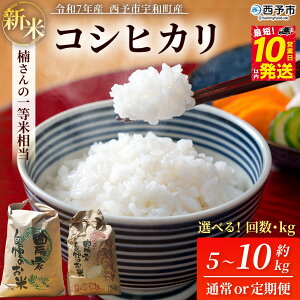 yӂ邳Ɣ[ŁzV ߘa7NY RVqJ 5kg / 10kg ʏ픭 / 3E6 \sFaY   킳̈ꓙđ Iׂ Ђ  R   ͂ 