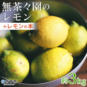 yӂ邳Ɣ[ŁzX̃ 3kg{̖{ t[c ʕ   EG k _k Y X Yi Q \sy퉷zw2026N1`3ɏoח\x