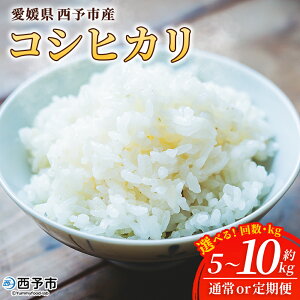 yӂ邳Ɣ[ŁzVāߘa7NY Q\sY RVqJ 5kg / 10kg Iׂ z ʏ   R     VN 5L 10L QY FaY Ђ Yi