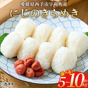 yӂ邳Ɣ[Łzɂ̂߂ 5kg/10kg Iׂ 5L 10L jWmLL   R     CX 嗱  \ Yi QY \sY FaY Oc