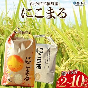 yӂ邳Ɣ[ŁzVāߘa7NY \sFaY ɂ܂ 2kg/5kg/10kg  R   Pꌴ  ӈ 嗱   CX  jR} Yi QY \sY Fa