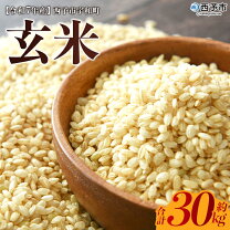 楽天市場】コシヒカリ30kg愛媛の通販